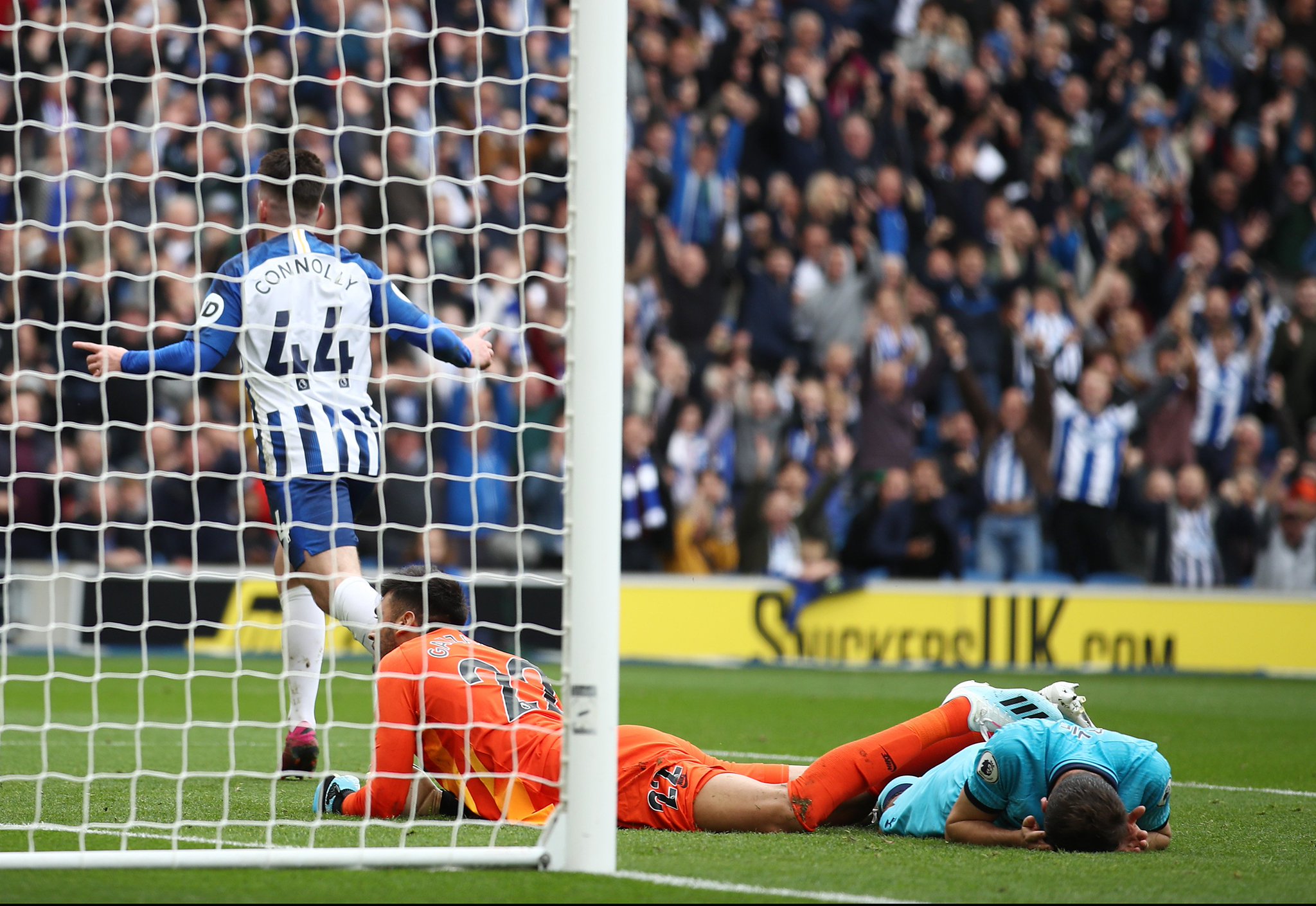 区羽毛球协 区羽毛球协